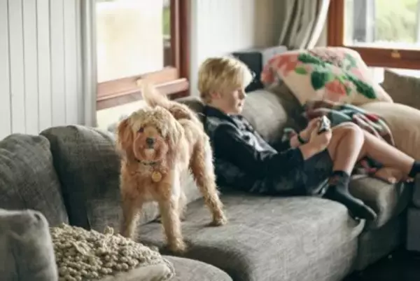 犬が『興味を示さない人』とは？どんな行動を見せるの？主な共通点や関心を持ってもらう方法まで