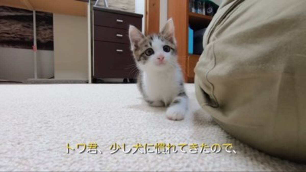 i=https%3A%2F%2Fs.eximg.jp% 