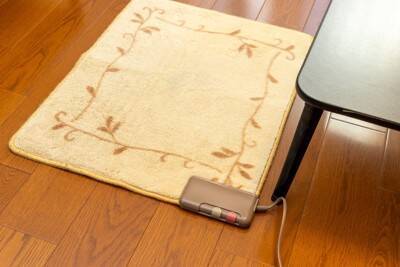 犬が亡くなるかもしれない『暖房機器』５選　思わぬ事故を引き起こすリスクや安全のためのチェック項目まで