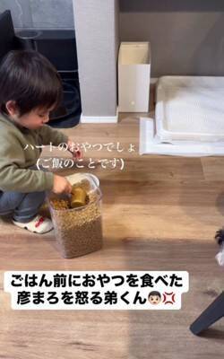 ご飯の前におやつを食べてしまった犬→すると男の子が…『怒りながらもご飯を用意してあげる光景』が尊いと5万再生「可愛すぎ」「しっかり者」