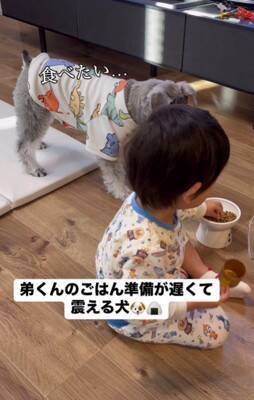 ご飯の前におやつを食べてしまった犬→すると男の子が…『怒りながらもご飯を用意してあげる光景』が尊いと5万再生「可愛すぎ」「しっかり者」