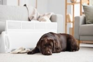 犬の留守番『適切な部屋の温度』とは？暖房機器を使用する際の注意点まで