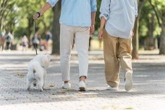 犬は『飼い主の足音』を判別することができるの？帰宅を察知する理由や驚きの能力まで