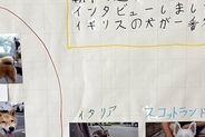 早朝、夏休みの自由研究をする娘→何をするのかと思ったら…まさかの『犬へのインタビュー』に6万いいね「素敵すぎ」「想像するだけで可愛い」