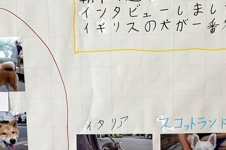 早朝、夏休みの自由研究をする娘→何をするのかと思ったら…まさかの『犬へのインタビュー』に6万いいね「素敵すぎ」「想像するだけで可愛い」