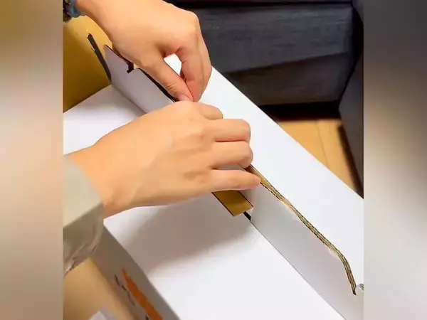 箱に入った『小さな赤ちゃん犬』→家に着いて開けてみると…想像と違いすぎる『まさかの状況』が477万再生「初めて見たｗ」「大物になる予感」