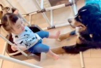 ブランコに乗る女の子→超大型犬が近くで見守って…頼もしすぎる『ベビーシッターのような光景』が148万再生「優しい」「最強ボディーガード」