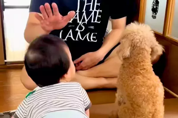 犬にしつけをしていたら、赤ちゃんが近づいてきて…まさかの『素直すぎる行動』に思わず笑ってしまうと17万再生「お利口さん」「みんな可愛い」