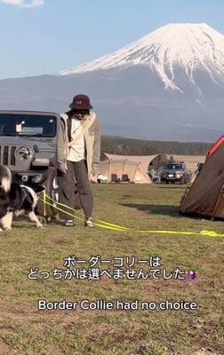 世界一賢いといわれる犬種に『パパとママどっちについてくるか？』を検証→想像もできなかった結末が3万再生「大きな愛」「可愛すぎる」と称賛
