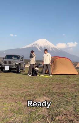世界一賢いといわれる犬種に『パパとママどっちについてくるか？』を検証→想像もできなかった結末が3万再生「大きな愛」「可愛すぎる」と称賛