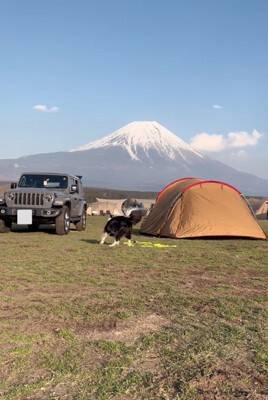 世界一賢いといわれる犬種に『パパとママどっちについてくるか？』を検証→想像もできなかった結末が3万再生「大きな愛」「可愛すぎる」と称賛