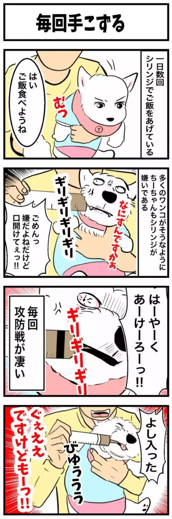 ちーちゃんですけどもっ【第354話】「毎回手こずる」