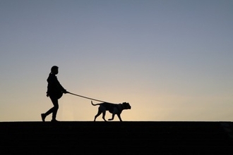 犬に『散歩が楽しい』と思ってもらう方法5つ　コース選びのポイントや今日からできる工夫まで