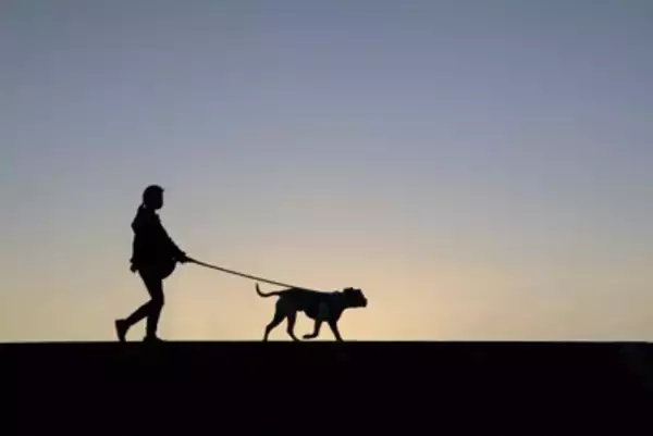 犬に『散歩が楽しい』と思ってもらう方法5つ　コース選びのポイントや今日からできる工夫まで