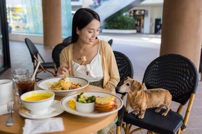 犬が『顔を舐めてくる』心理６選　やめてほしい場合に飼い主がすべき対処法とは？