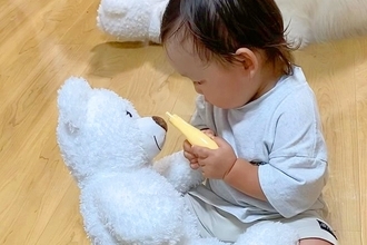 赤ちゃんと大型犬の『ぬいぐるみの使い方』を比較→同じぬいぐるみなのに…まさかの『差がありすぎる光景』が10万再生「野生で草」「大爆笑」