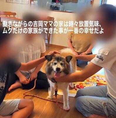 お世話されず、長年外に繋がれっぱなしの犬を保護…涙が止まらない『結末』が64万再生「なんてこと…」「幸せになって」