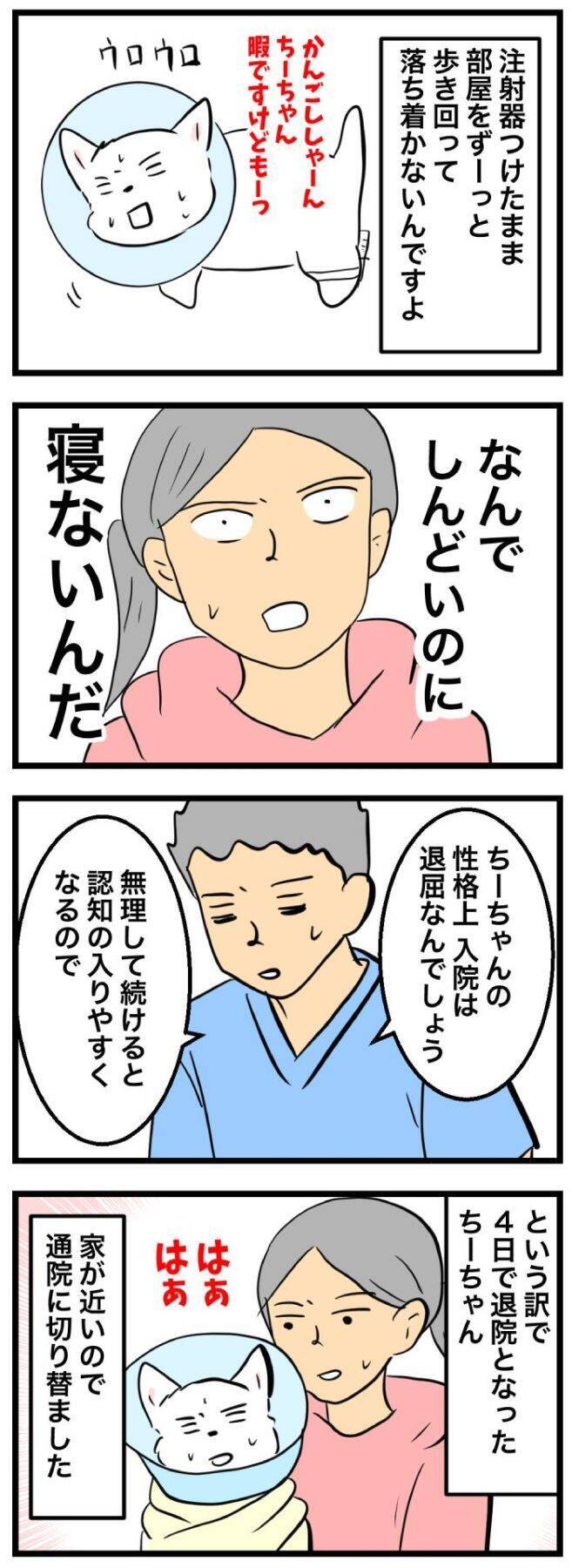 ちーちゃんですけどもっ【第338話】「ちーちゃんが退院したわけ」