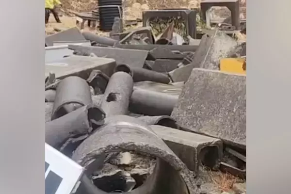 『国際災害救助犬』になろうと奮闘するワンコ→素敵すぎる『1匹の保護犬の物語』に感動の声「ウルウルした」「心からおめでとう」と6万再生