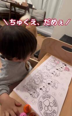 ちいさな男の子が眠りそうになったら、犬が…ほっこりが止まらない『尊すぎる寝かしつけ』が32万再生「癒し効果絶大」「なんて幸せなの」と絶賛