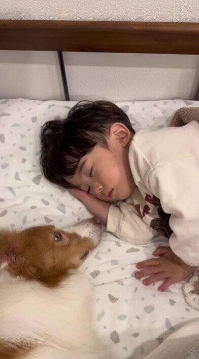 ちいさな男の子が眠りそうになったら、犬が…ほっこりが止まらない『尊すぎる寝かしつけ』が32万再生「癒し効果絶大」「なんて幸せなの」と絶賛