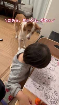 ちいさな男の子が眠りそうになったら、犬が…ほっこりが止まらない『尊すぎる寝かしつけ』が32万再生「癒し効果絶大」「なんて幸せなの」と絶賛