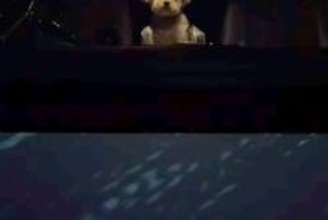 なかなか車から降りてこない犬→外で見ていたら…ディズニー感が強すぎる『衝撃の消え方』が200万再生「涙出たｗ」「シリキウトゥンドゥで草」