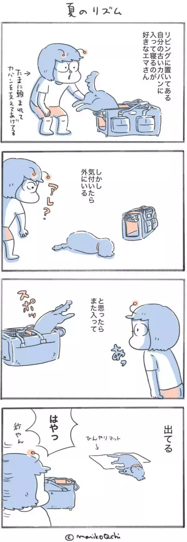 犬と暮らせば【第549話】「夏のリズム」