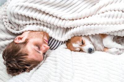 愛犬が飼い主と一緒に寝たいと思っている時にする行動３選　眠るときの注意点まで解説