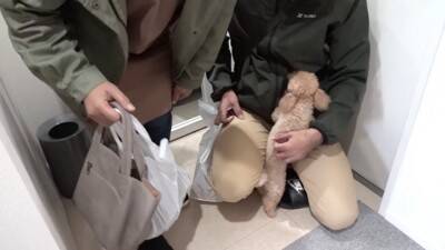 犬に『おじいちゃんおばあちゃんの訪問ドッキリ』仕掛けてみた結果…もはや『パニック』になる姿が可愛すぎると40万再生「孫みたい」と絶賛