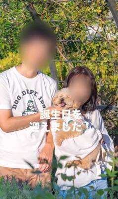 『持病のある5歳の繁殖犬』をお迎え→2年が経過した結果…想像もできなかった『幸せな光景』に「たくさんチャレンジしてて偉い」と絶賛の声