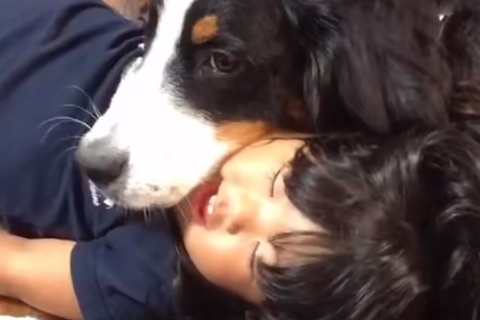 幼少期から犬たちと一緒に育った女の子→『どんな子になるかな』と思ったら…素敵すぎる『成長記録』が27万再生「優しい子」「感動した、最高」