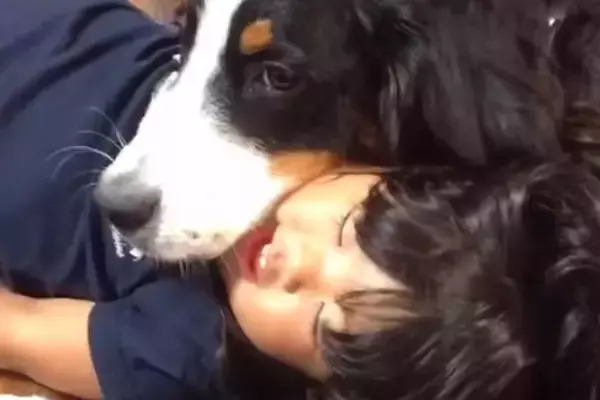 幼少期から犬たちと一緒に育った女の子→『どんな子になるかな』と思ったら…素敵すぎる『成長記録』が27万再生「優しい子」「感動した、最高」