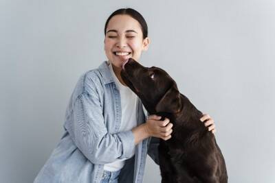 犬が『ありがとう』と人に伝えている時のサイン4選　感謝の気持ちが現れる仕草や行動とは？