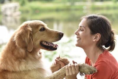 犬が『ありがとう』と人に伝えている時のサイン4選　感謝の気持ちが現れる仕草や行動とは？