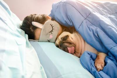 犬が人に『添い寝する位置』で分かる心理５選　なぜ一緒に寝たがるの？飼い主が気をつけるべきことまで