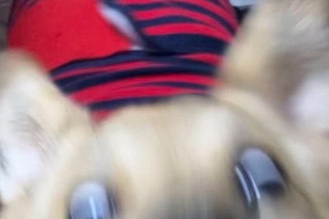 『大好物に食いつく顔です』飼い主からおやつを貰った犬→食べている瞬間を撮影したら…想像以上に『激しい一枚』に反響「大怪獣に進化しそうｗ」