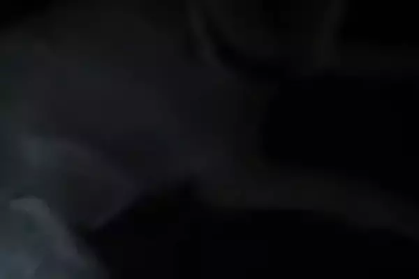 母から『夜になると奇妙な音が聞こえる』と相談→音の方へ行ってみると…『まさかの正体』が8万再生「ビビってたら可愛くて草」「嬉しそうｗ」
