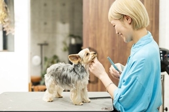 犬と関わることができる『職種』10選　未経験でも働ける？人気な仕事までご紹介