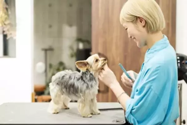 犬と関わることができる『職種』10選　未経験でも働ける？人気な仕事までご紹介