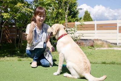 犬と関わることができる『職種』10選　未経験でも働ける？人気な仕事までご紹介