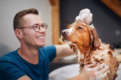 犬が苦痛に感じる『シャンプーの仕方』4選　ストレスの原因となる洗い方や改善策まで