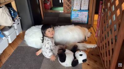 Nonochan hugs Shushuchan