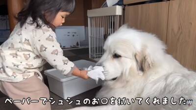 Rono-chan staring at the paper