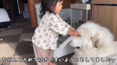 Rono-chan wiping Shushu-chan's mouth