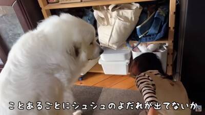 Rono-chan checking for drool