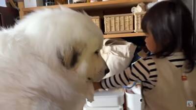 Rono-chan wiping away drool