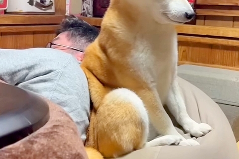 睡魔と戦いながら『夜更かしをするパパ』に付き合う犬→とんでもなく尊い『必死に起きようとする表情』が54万再生「なんて健気」「愛おしい」