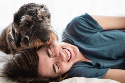 犬が飼い主の『手や顔を舐める』心理5選　愛犬が舐めてきたら、どんな反応をしたらいいの？