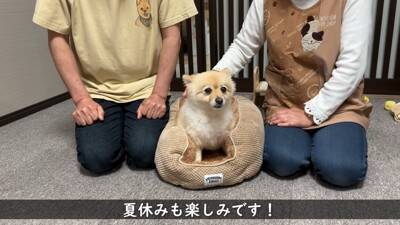 犬が『おじいちゃんおばあちゃんの家』から帰ろうとした結果…『お別れの様子』が切ないと11万再生「寂しそう…」「実家思い出した」と絶賛